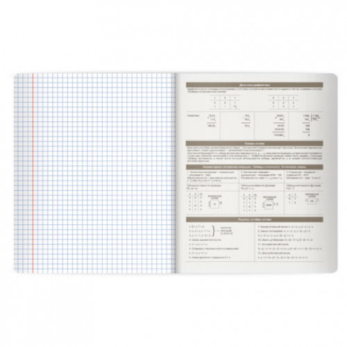 Тетрадь предметная MonoPastel 48л, пластиковая обложка, ИНФОРМАТИКА, клетка, подсказ, BRAUBERG, 405507