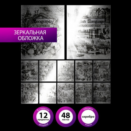 Тетради предметные, КОМПЛЕКТ 12 ПРЕДМЕТОВ, SILVER, 48 листов, с серебряной обложкой, BRAUBERG, 404034
