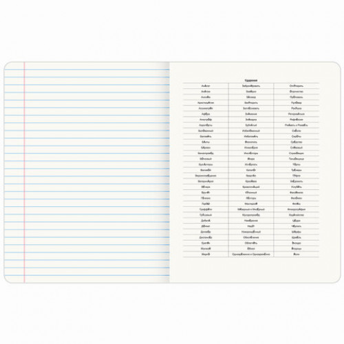 Тетрадь предметная МЕМЫ 48 л., TWIN-лак, РУССКИЙ ЯЗЫК, линия, подсказ, BRAUBERG, 405105