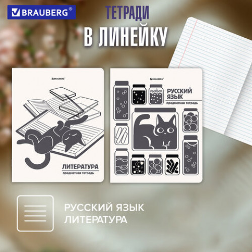 Тетради предметные, КОМПЛЕКТ 12 ПРЕДМЕТОВ 48 л., пластиковая обложка, BRAUBERG КОТ-НЕПОСЕДА, 405542