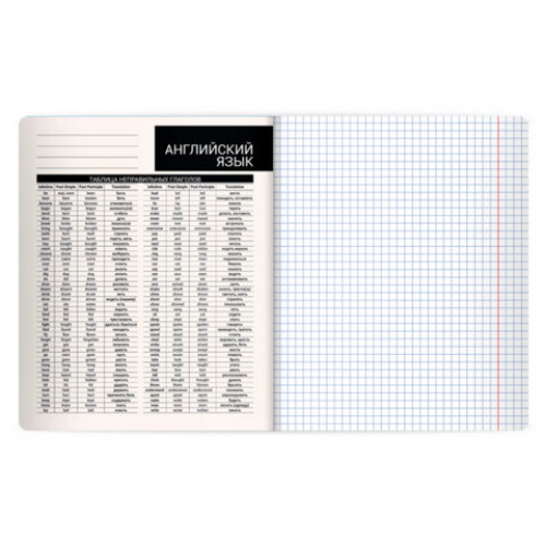 Тетрадь предметная КОТ-НЕПОСЕДА 48л, пластиковая обложка, АНГЛИЙСКИЙ ЯЗЫК, клетка, подсказ, BRAUBERG, 405529