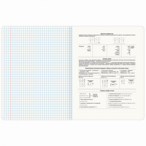 Тетрадь предметная CLASSIC 48 л., рельефный картон, матовая ламинация, ИНФОРМАТИКА, клетка, подсказ, BRAUBERG, 405141