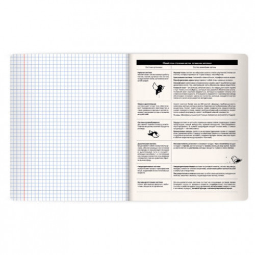 Тетрадь предметная КОТ-НЕПОСЕДА 48л, пластиковая обложка, БИОЛОГИЯ, клетка, подсказ, BRAUBERG, 405530