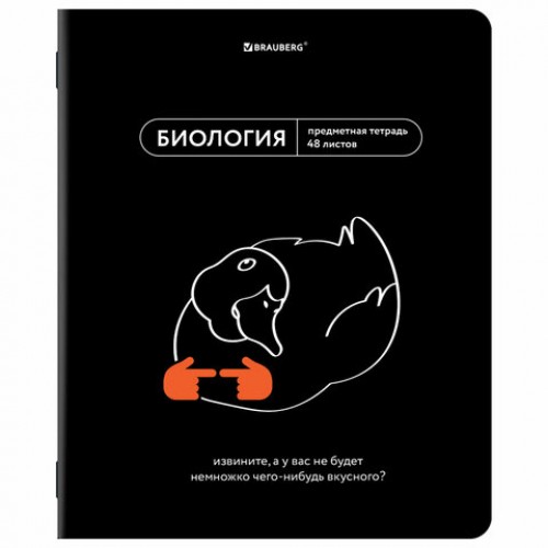 Тетради предметные, КОМПЛЕКТ 12 ПРЕДМЕТОВ, 48 л., TWIN лак, BRAUBERG МЕМЫ, 405172