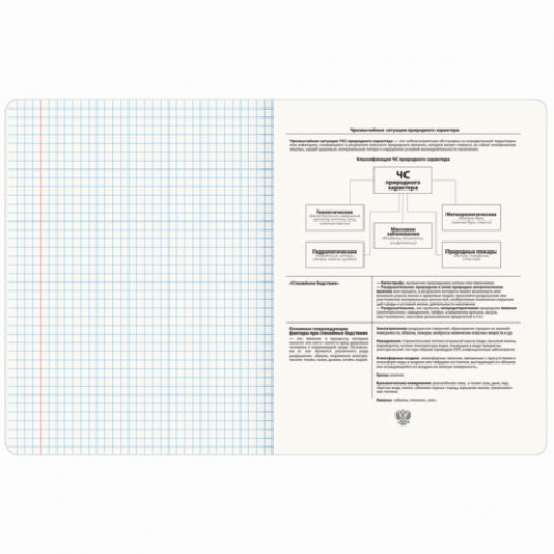 Тетрадь предметная МЕМЫ 48 л., TWIN-лак, ОБиЗР, клетка, подсказ, BRAUBERG, 405108