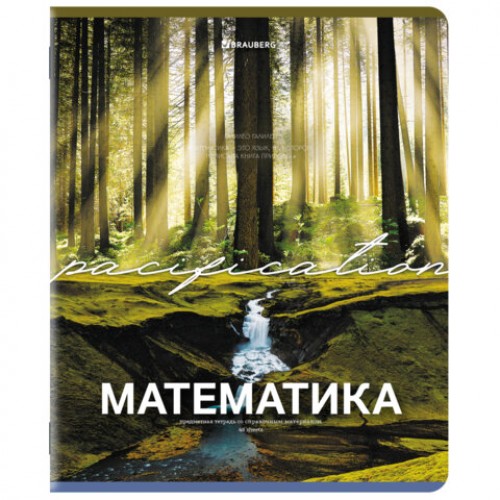 Тетради предметные, КОМПЛЕКТ 13 ПРЕДМЕТОВ, 48 л., обложка картон, BRAUBERG КЛАССИКА ПРИРОДА, 405165