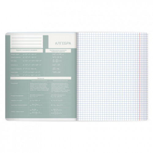 Тетрадь предметная MonoPastel 48л, пластиковая обложка, АЛГЕБРА, клетка, подсказ, BRAUBERG, 405501