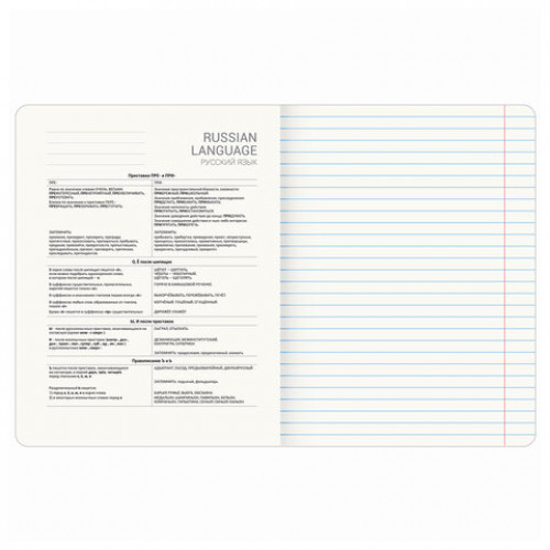 Тетрадь предметная STARLIGHT 48 л., глянцевый УФ-лак, РУССКИЙ ЯЗЫК, линия, BRAUBERG, 404529
