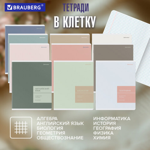 Тетради предметные, КОМПЛЕКТ 12 ПРЕДМЕТОВ 48 л., пластиковая обложка, BRAUBERG MonoPastel, 405540