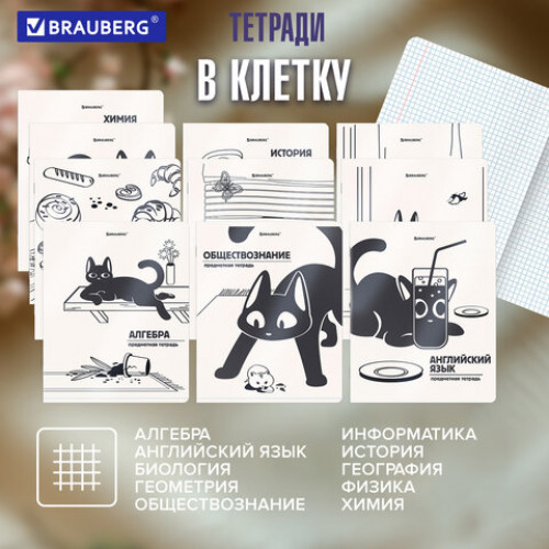 Тетради предметные, КОМПЛЕКТ 12 ПРЕДМЕТОВ 48 л., пластиковая обложка, BRAUBERG КОТ-НЕПОСЕДА, 405542