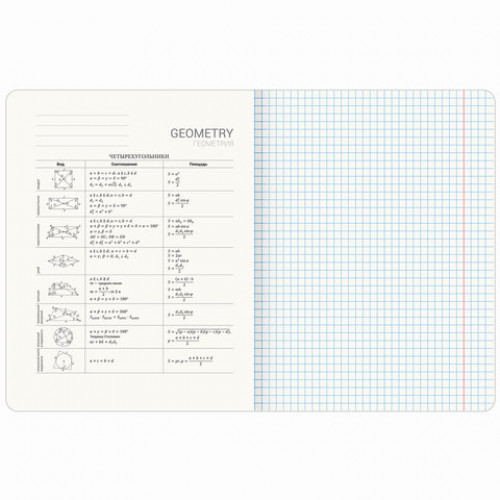 Тетрадь предметная PASTEL 48 л., SoftTouch, фольга, ГЕОМЕТРИЯ, клетка, BRAUBERG, 404314