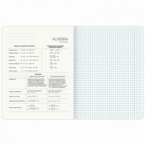 Тетради предметные, КОМПЛЕКТ 12 ПРЕДМЕТОВ, 48 л., TWIN лак, BRAUBERG МЕМЫ, 405172