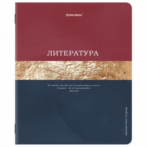 Тетради предметные, КОМПЛЕКТ 12 ПРЕДМЕТОВ, 48 л., матовая ламинация, фольга, BRAUBERG GOLDY, 405178