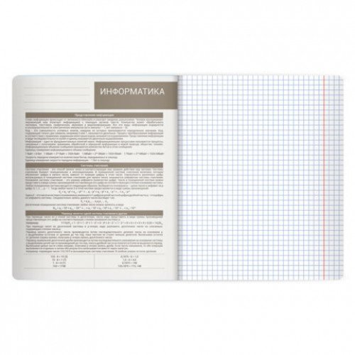 Тетрадь предметная MonoPastel 48л, пластиковая обложка, ИНФОРМАТИКА, клетка, подсказ, BRAUBERG, 405507