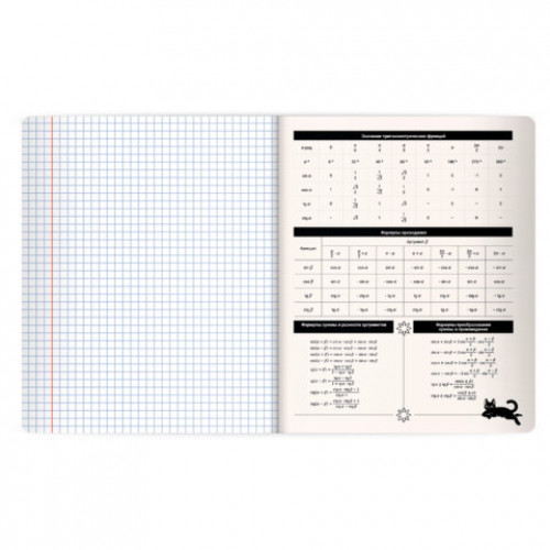Тетрадь предметная КОТ-НЕПОСЕДА 48л, пластиковая обложка, АЛГЕБРА, клетка, подсказ, BRAUBERG, 405527