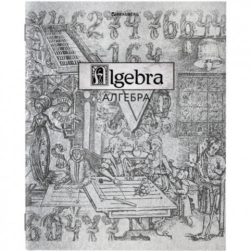 Тетрадь предметная SILVER 48 л., С СЕРЕБРЯНОЙ ОБЛОЖКОЙ, АЛГЕБРА, клетка, подсказ, BRAUBERG, 404012