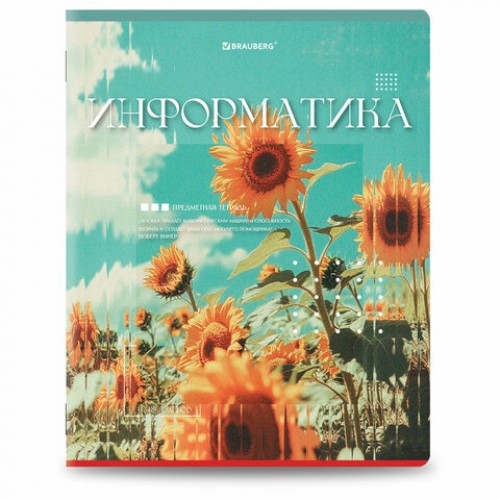 Тетради предметные, КОМПЛЕКТ 12 ПРЕДМЕТОВ, 48 л., глянцевый УФ-лак, BRAUBERG ILLUSION, 405171