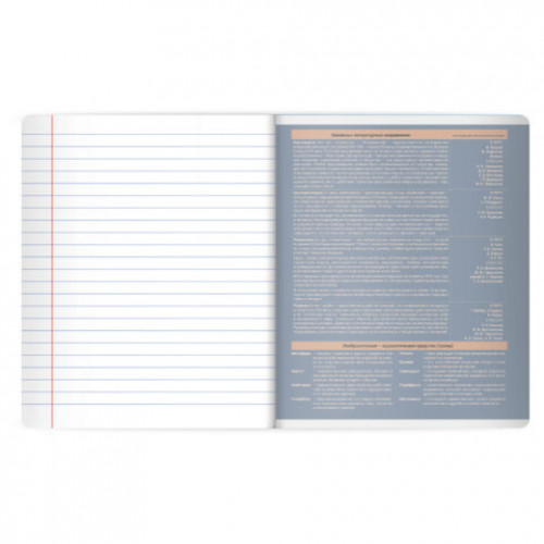 Тетрадь предметная MonoPastel 48л, пластиковая обложка, ЛИТЕРАТУРА, линия, подсказ, BRAUBERG, 405509