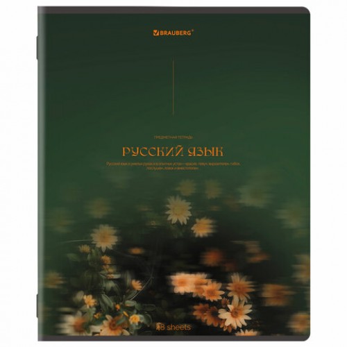 Тетради предметные, КОМПЛЕКТ 13 ПРЕДМЕТОВ, 48 л., SoftTouch, BRAUBERG PEACEFUL, 405182