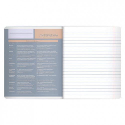 Тетрадь предметная MonoPastel 48л, пластиковая обложка, ЛИТЕРАТУРА, линия, подсказ, BRAUBERG, 405509