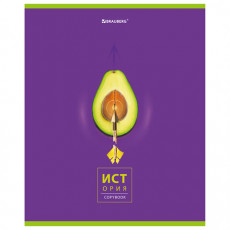 Тетрадь предметная AVOCADO 48 л., глянцевый лак, ИСТОРИЯ, клетка, BRAUBERG, 404280