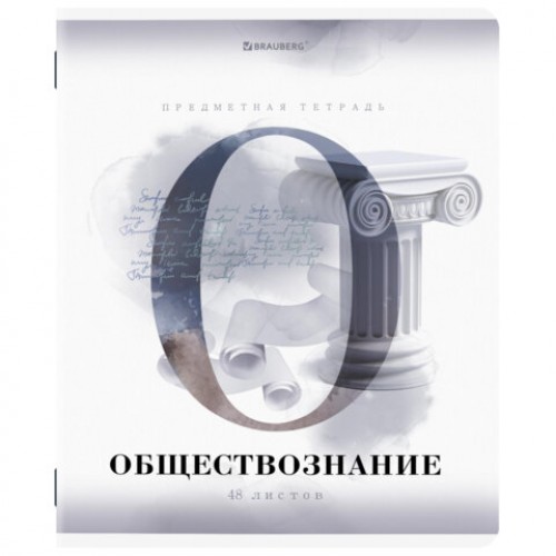 Тетради предметные, КОМПЛЕКТ 12 ПРЕДМЕТОВ, CALM, 48 л., матовая ламинация, лак, BRAUBERG, 404844