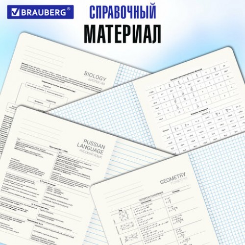 Тетради предметные, КОМПЛЕКТ 12 ПРЕДМЕТОВ, 48 л., глянцевый УФ-лак, BRAUBERG ILLUSION, 405171