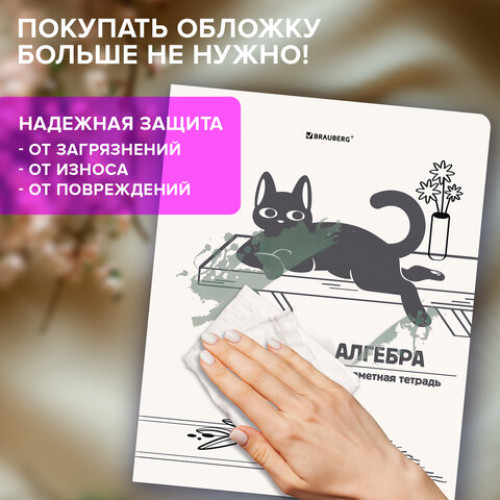 Тетради предметные, КОМПЛЕКТ 12 ПРЕДМЕТОВ 48 л., пластиковая обложка, BRAUBERG КОТ-НЕПОСЕДА, 405542
