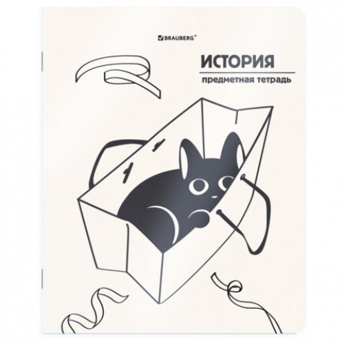 Тетрадь предметная КОТ-НЕПОСЕДА 48 л., пластиковая обложка, ИСТОРИЯ, клетка, подсказ, BRAUBERG, 405534