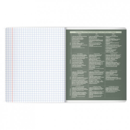Тетрадь предметная MonoPastel 48л, пластиковая обложка, АНГЛИЙСКИЙ ЯЗЫК, клетка, подсказ, BRAUBERG, 405503