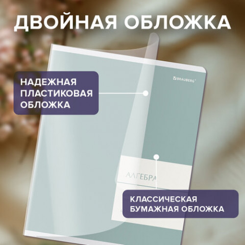 Тетради предметные, КОМПЛЕКТ 12 ПРЕДМЕТОВ 48 л., пластиковая обложка, BRAUBERG MonoPastel, 405540