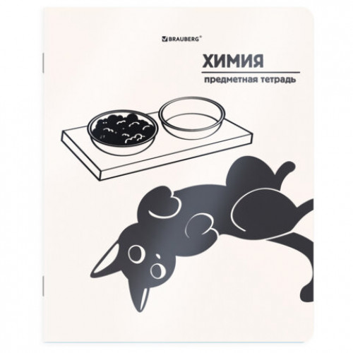 Тетради предметные, КОМПЛЕКТ 12 ПРЕДМЕТОВ 48 л., пластиковая обложка, BRAUBERG КОТ-НЕПОСЕДА, 405542