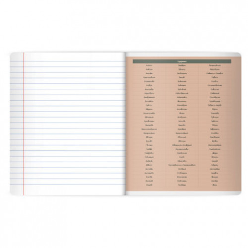 Тетрадь предметная MonoPastel 48л, пластиковая обложка, РУССКИЙ ЯЗЫК, линия, подсказ, BRAUBERG, 405510