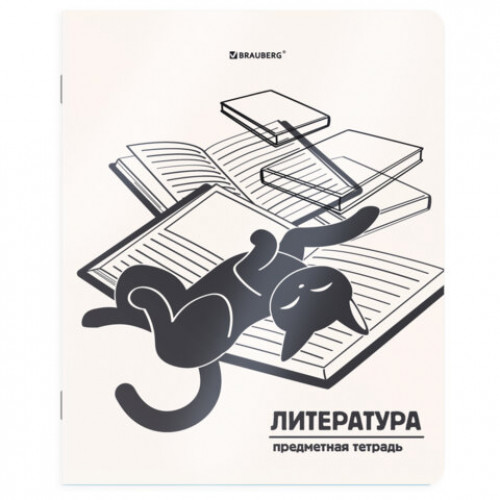 Тетради предметные, КОМПЛЕКТ 12 ПРЕДМЕТОВ 48 л., пластиковая обложка, BRAUBERG КОТ-НЕПОСЕДА, 405542