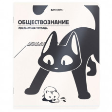 Тетрадь предметная КОТ-НЕПОСЕДА 48л, пластиковая обложка, ОБЩЕСТВОЗНАНИЕ, клетка, подсказ, BRAUBERG, 405528