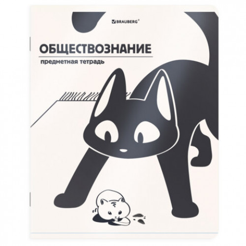 Тетрадь предметная КОТ-НЕПОСЕДА 48л, пластиковая обложка, ОБЩЕСТВОЗНАНИЕ, клетка, подсказ, BRAUBERG, 405528