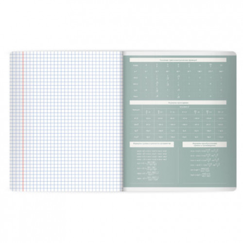 Тетрадь предметная MonoPastel 48л, пластиковая обложка, АЛГЕБРА, клетка, подсказ, BRAUBERG, 405501