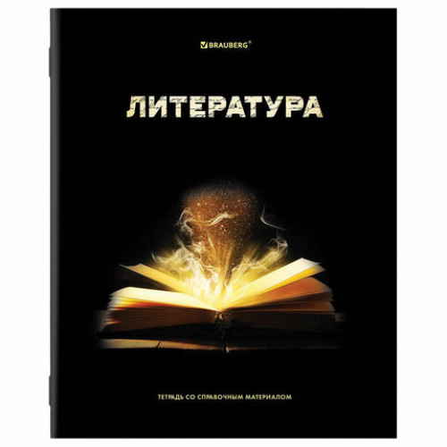 Тетради предметные, КОМПЛЕКТ 12 ПРЕДМЕТОВ, SHADE, 48 л., глянцевый УФ-лак, BRAUBERG, 404324