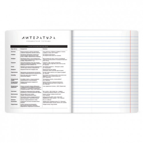 Тетрадь предметная BLACK MODE 48л, пластиковая обложка, ЛИТЕРАТУРА, линия, подсказ, BRAUBERG, 405522