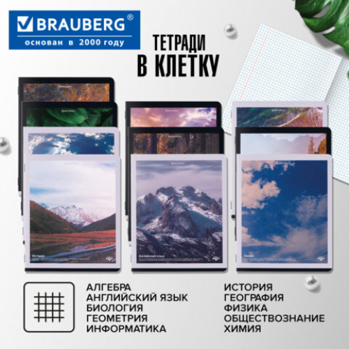 Тетради предметные, КОМПЛЕКТ 12 ПРЕДМЕТОВ, 48 л., матовая ламинация, BRAUBERG, ПРИРОДА, 405606