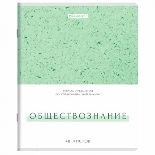 Тетради предметные, КОМПЛЕКТ 12 ПРЕДМЕТОВ, 48 л., обложка картон, BRAUBERG HARMONY, 405167