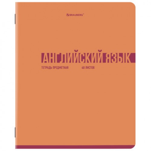 Тетради предметные, КОМПЛЕКТ 12 ПРЕДМЕТОВ, 48 л., обложка картон, BRAUBERG VIBE, 405163