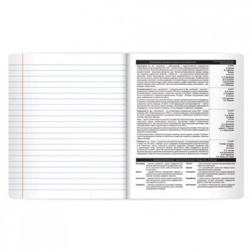 Тетрадь предметная BLACK MODE 48л, пластиковая обложка, ЛИТЕРАТУРА, линия, подсказ, BRAUBERG, 405522