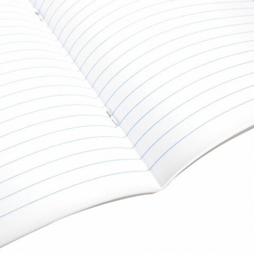 Тетрадь предметная DELIGHT 48 л., обложка картон, РУССКИЙ ЯЗЫК, линия, BRAUBERG, 404577