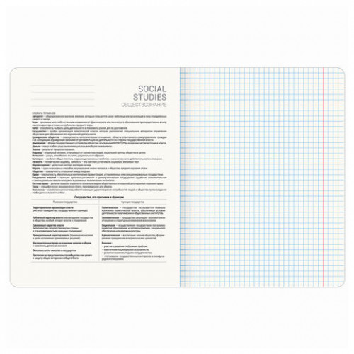 Тетрадь предметная STARLIGHT 48 л., глянцевый УФ-лак, ОБЩЕСТВОЗНАНИЕ, клетка, BRAUBERG, 404521