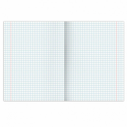 Тетрадь предметная SPORT CLUB 48 л., обложка картон, ХИМИЯ, клетка, подсказ, BRAUBERG, 404805