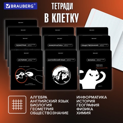 Тетради предметные, КОМПЛЕКТ 12 ПРЕДМЕТОВ, 48 л., TWIN лак, BRAUBERG МЕМЫ, 405172