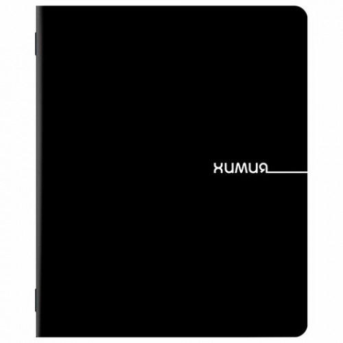 Тетради предметные, КОМПЛЕКТ 12 ПРЕДМЕТОВ, 48 л., обложка картон, BRAUBERG BLACK, 405164