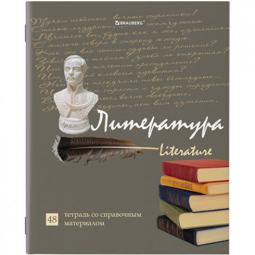 Тетради предметные, КОМПЛЕКТ 10 ПРЕДМЕТОВ, STATUS, 48 листов, глянцевый УФ-лак, BRAUBERG, 404027