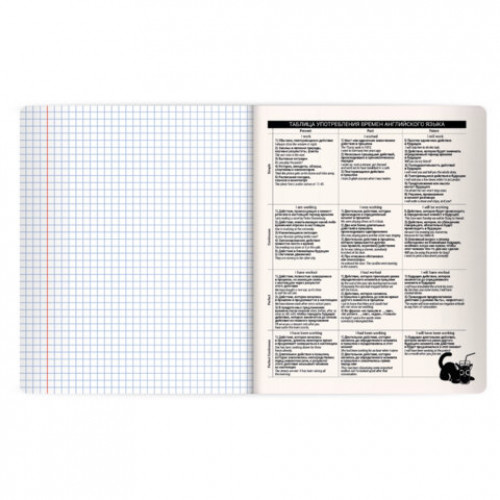 Тетрадь предметная КОТ-НЕПОСЕДА 48л, пластиковая обложка, АНГЛИЙСКИЙ ЯЗЫК, клетка, подсказ, BRAUBERG, 405529